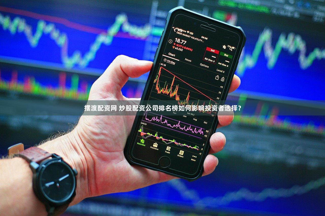摆渡配资网 炒股配资公司排名榜如何影响投资者选择？