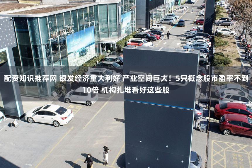 配资知识推荐网 银发经济重大利好 产业空间巨大！5只概念股市盈率不到10倍 机构扎堆看好这些股