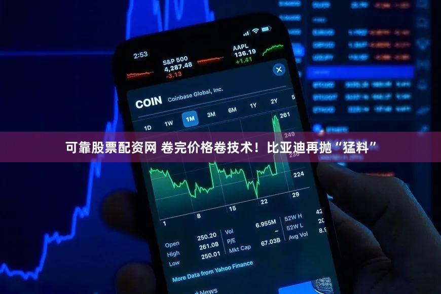 可靠股票配资网 卷完价格卷技术！比亚迪再抛“猛料”