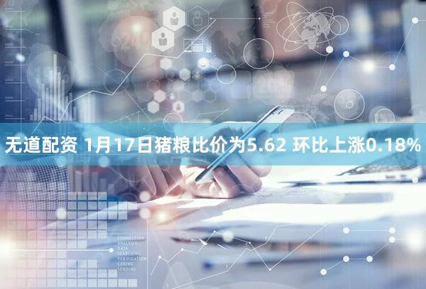 无道配资 1月17日猪粮比价为5.62 环比上涨0.18%