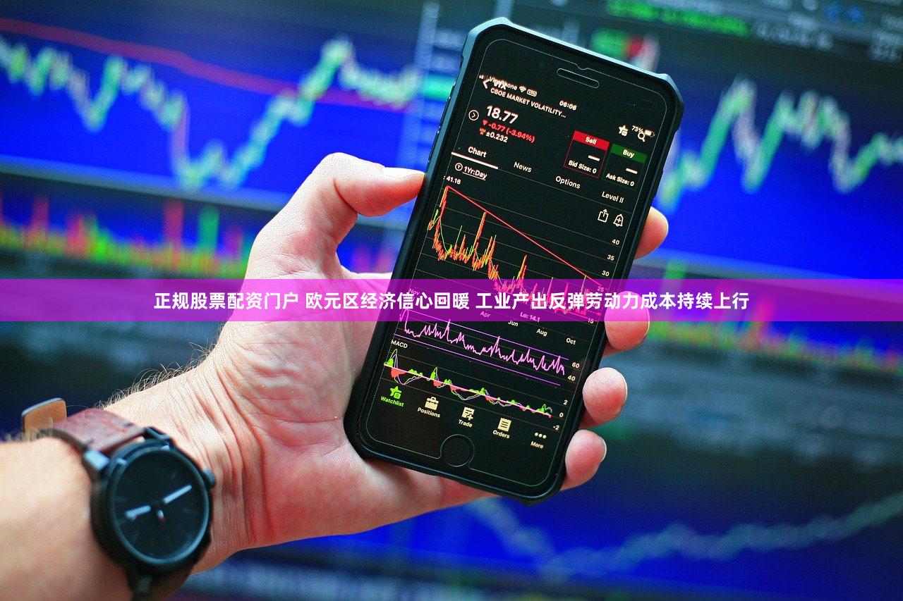 正规股票配资门户 欧元区经济信心回暖 工业产出反弹劳动力成本持续上行