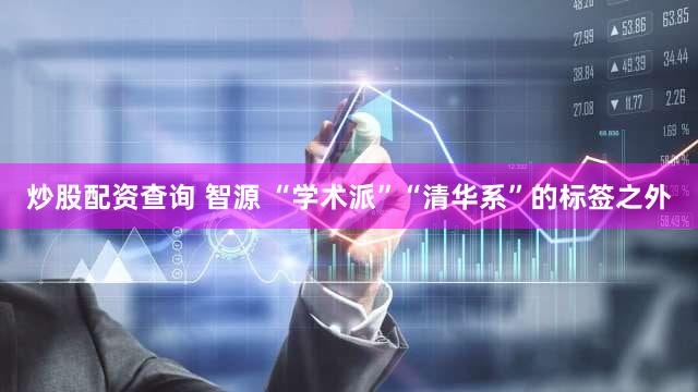炒股配资查询 智源 “学术派”“清华系”的标签之外