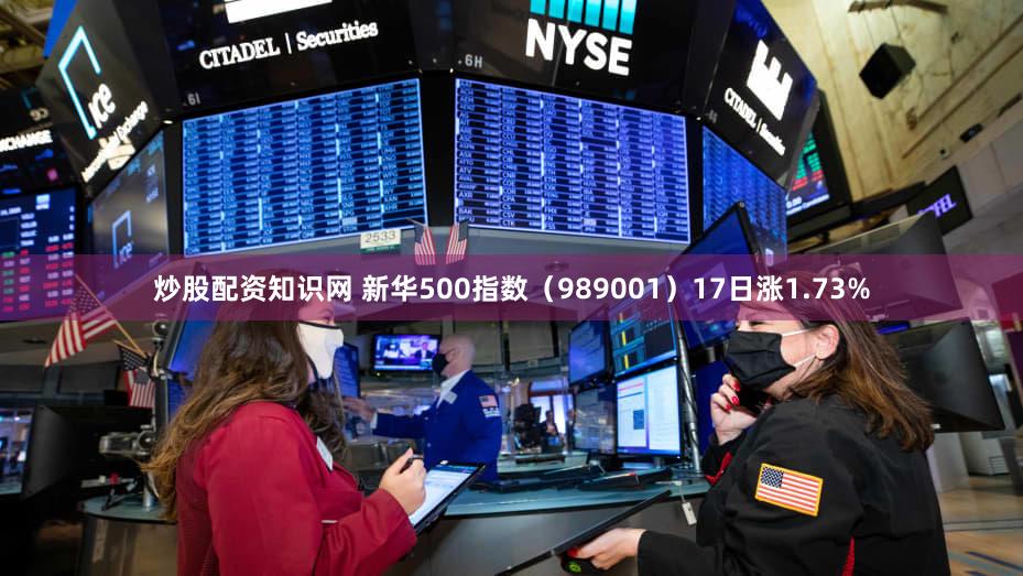 炒股配资知识网 新华500指数（989001）17日涨1.73%