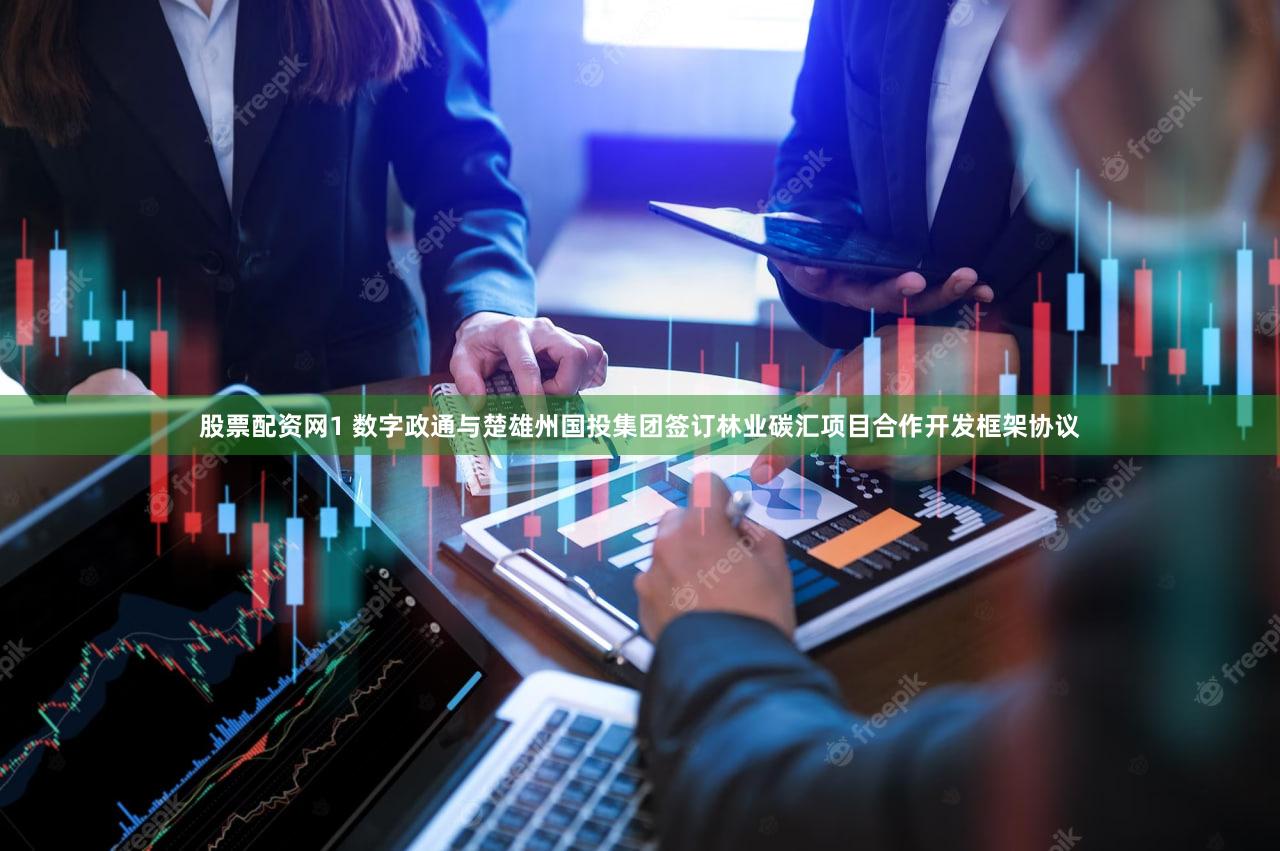 股票配资网1 数字政通与楚雄州国投集团签订林业碳汇项目合作开发框架协议