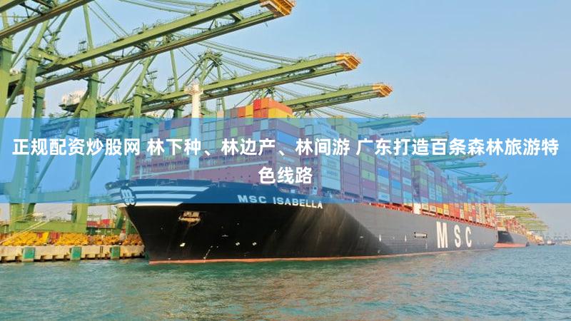 正规配资炒股网 林下种、林边产、林间游 广东打造百条森林旅游特色线路