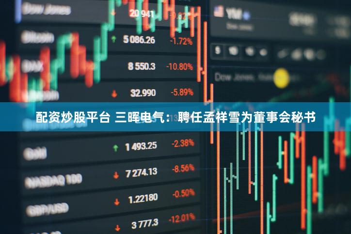 配资炒股平台 三晖电气：聘任孟祥雪为董事会秘书