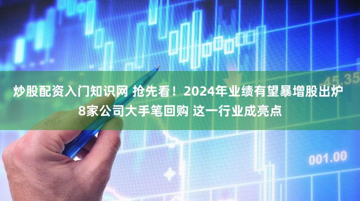 炒股配资入门知识网 抢先看!2024年业绩有望暴增股出炉 8家公司大手笔回购 这一行业成亮点