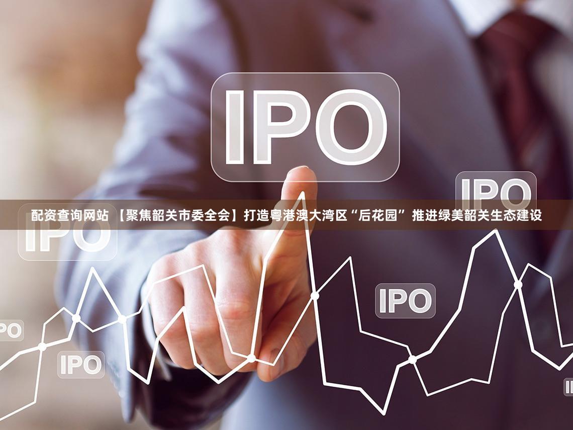 配资查询网站 【聚焦韶关市委全会】打造粤港澳大湾区“后花园” 推进绿美韶关生态建设