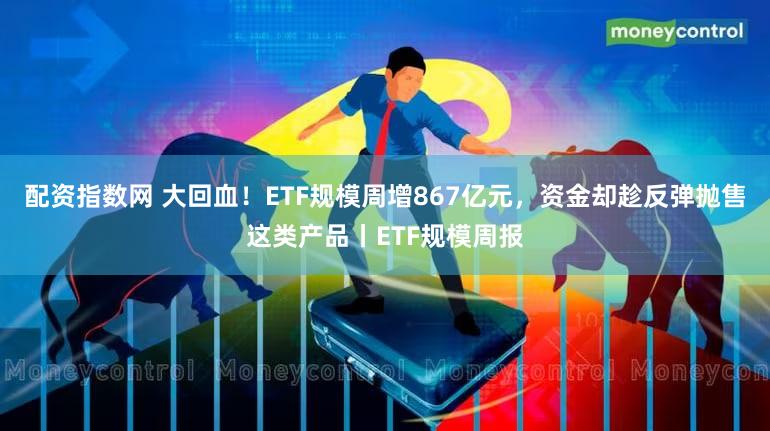 配资指数网 大回血!ETF规模周增867亿元,资金却趁反弹抛售这类产品丨ETF规模周报