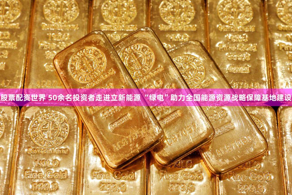 股票配资世界 50余名投资者走进立新能源 “绿电”助力全国能源资源战略保障基地建设