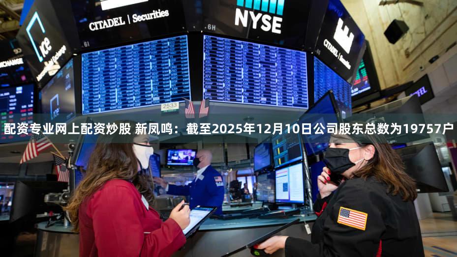 配资专业网上配资炒股 新凤鸣：截至2025年12月10日公司股东总数为19757户