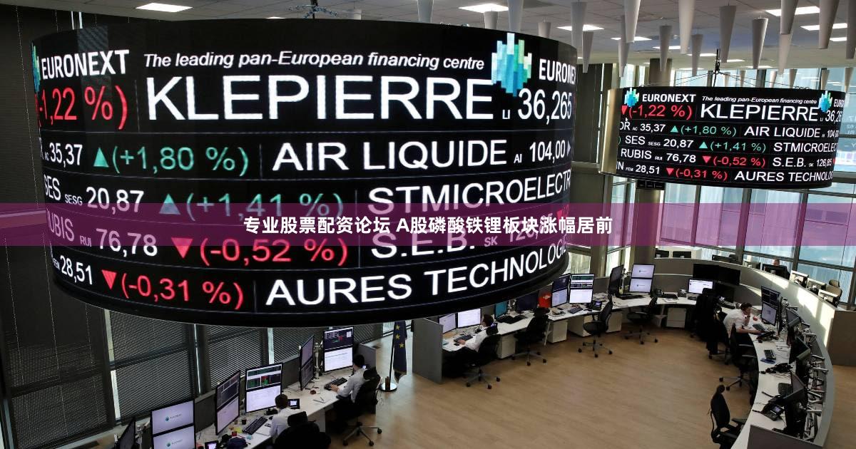 专业股票配资论坛 A股磷酸铁锂板块涨幅居前